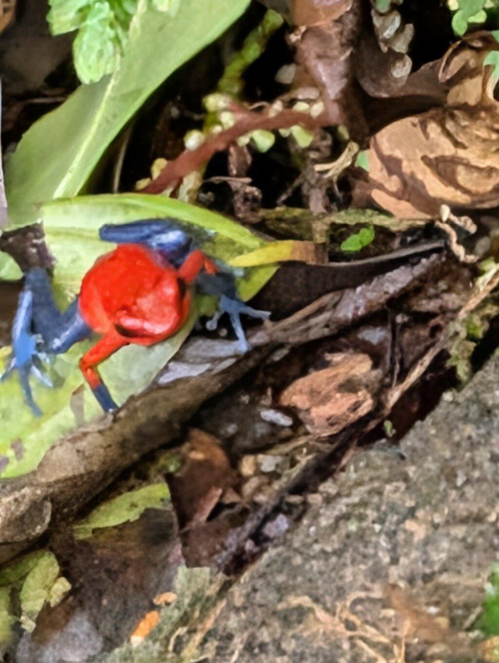 Review photo