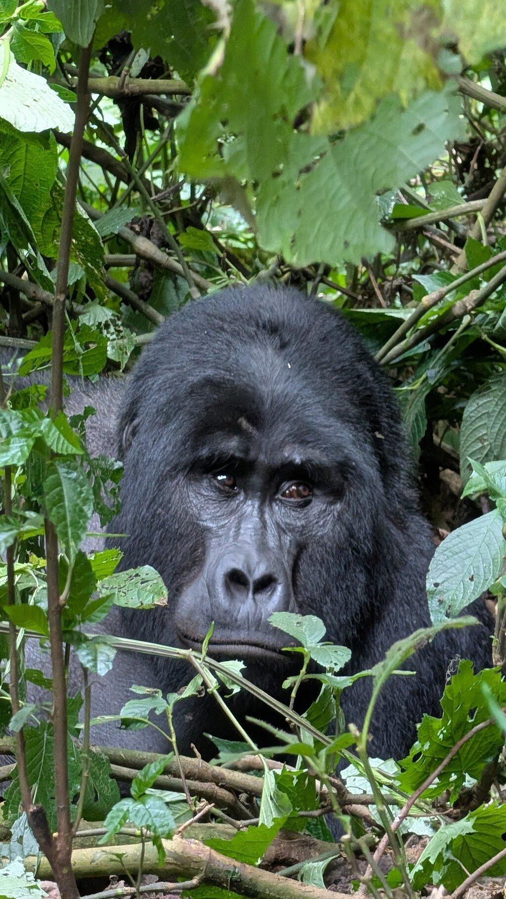 Review photo