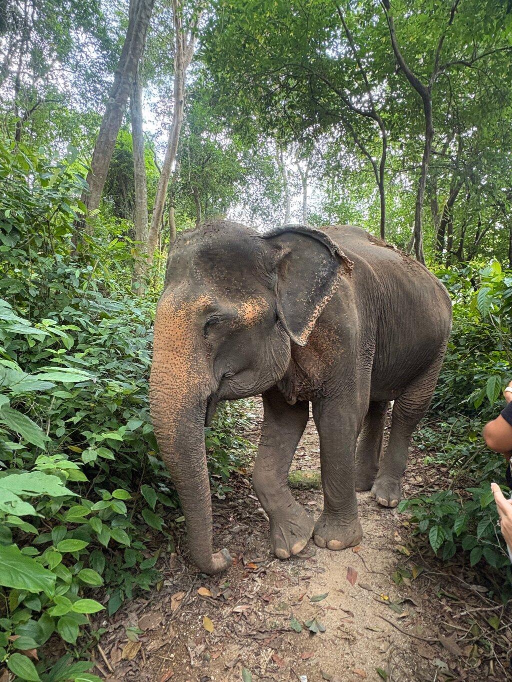 Review photo