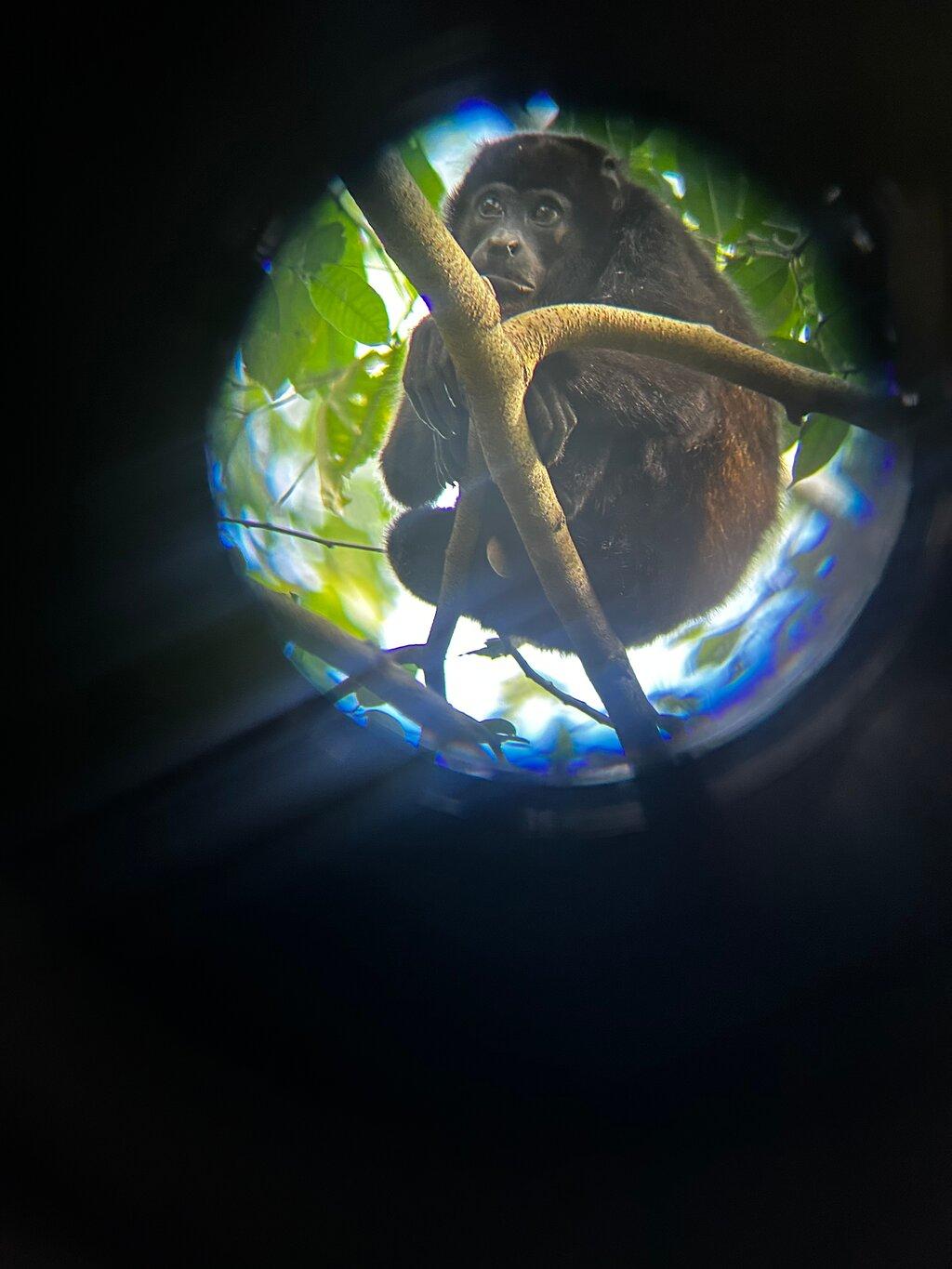 Review photo