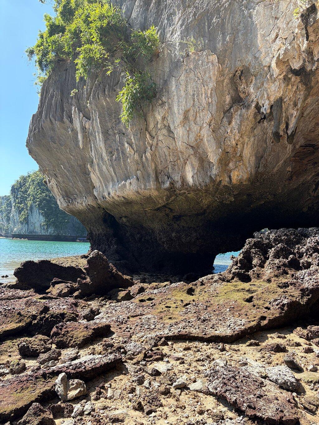 Review photo