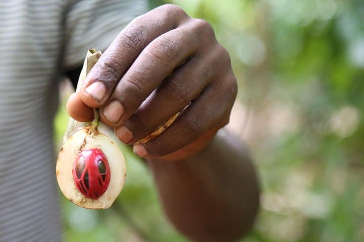Spice Tour of Zanzibar