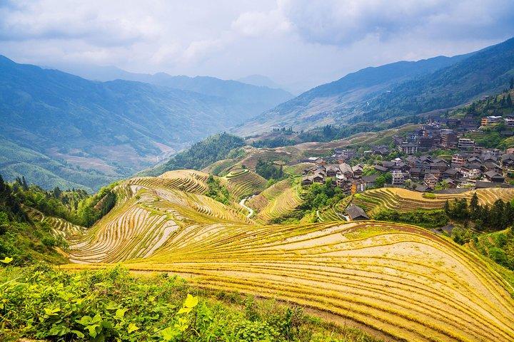 Longji Rice Terraces and Minority Village Day Tour