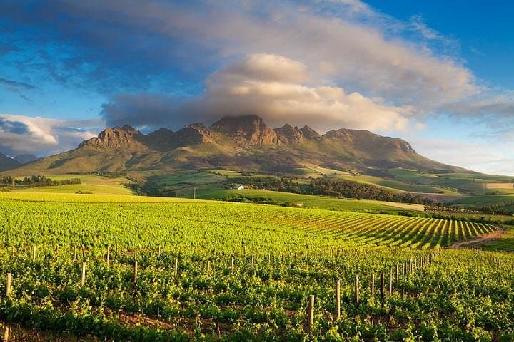 Cape Winelands - Stellenbosch, Franschoek & Paarl, small group tour