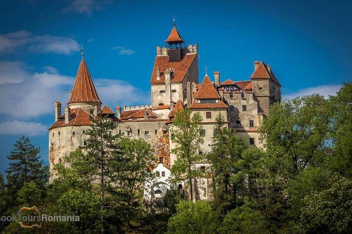 Dracula Castle, Peles Castle and Brasov - Private Day Trip from Bucharest