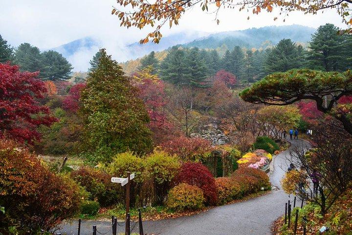 Nami Island from Seoul: Petit France and Garden of Morning Calm