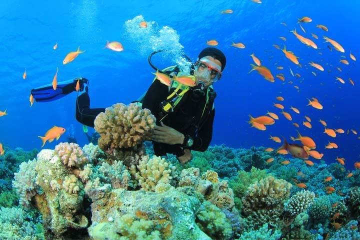 Beginners Scuba Diving Experience in Gran Canaria