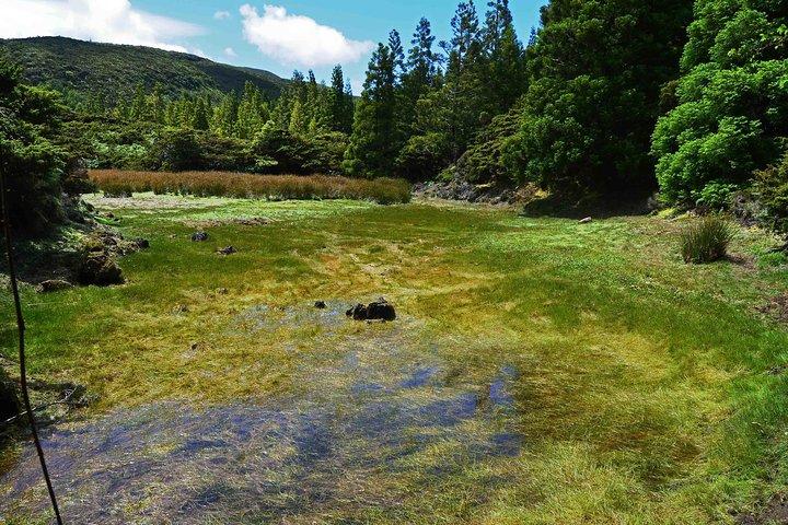 Mistérios Negros Hiking Trail - Terceira Azores