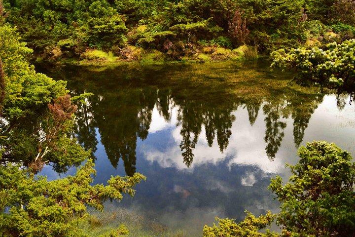 Mistérios Negros Hiking Trail - Terceira Azores