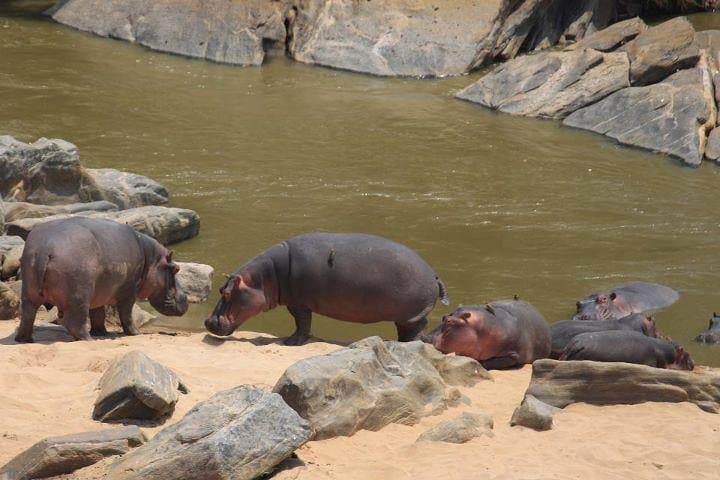 12 Days Kenya and Tanzania Budget Private Safari from Nairobi