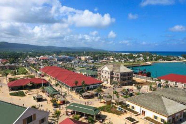 Dunn's River Falls and Jamaica Sightseeing Private Tour