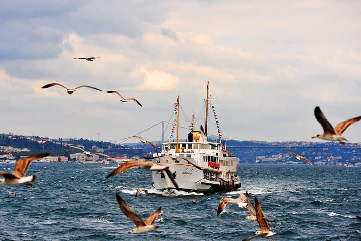 Full Day Cruise Tour in Bosphorus and Two Continents