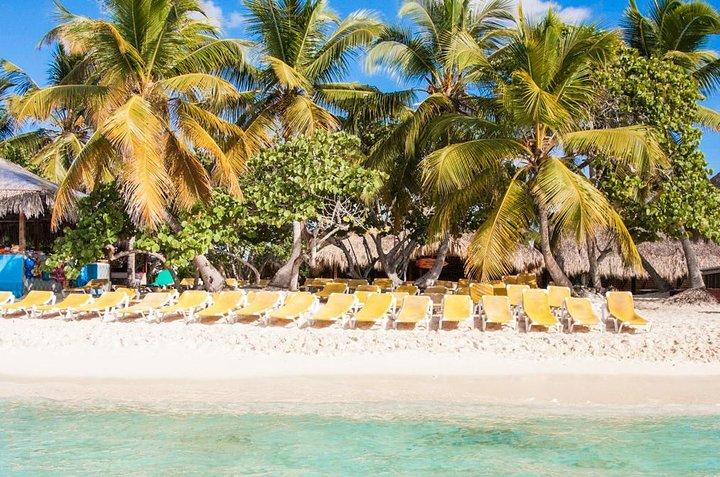 Full-Day Catalina Island Scuba Diving Tour from Punta Cana