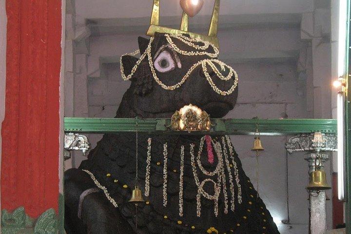 Sacred Bull walking tour in Bangalore with guide