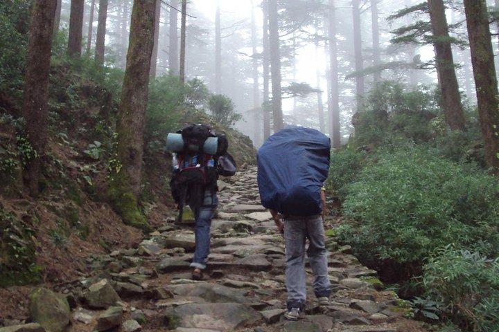 Hiking Day Tour to Triund from Dharamshala