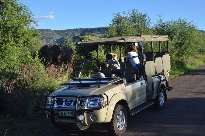 3-Hour Private Game Drive of Pilanesberg National Park
