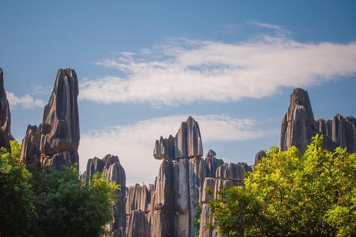 1-Day Stone Forest Geological Park Private Tour with the Lunch from Kunming