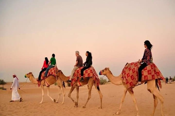 Premium Red Dunes Safari with BBQ dinner and Camel Ride