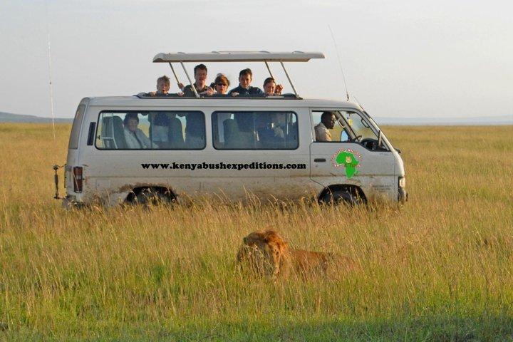 Maasai mara, Nakuru, Amboseli and Tsavo west National parks Safaris