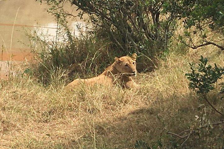 Lake Nakuru National Park Day Tour