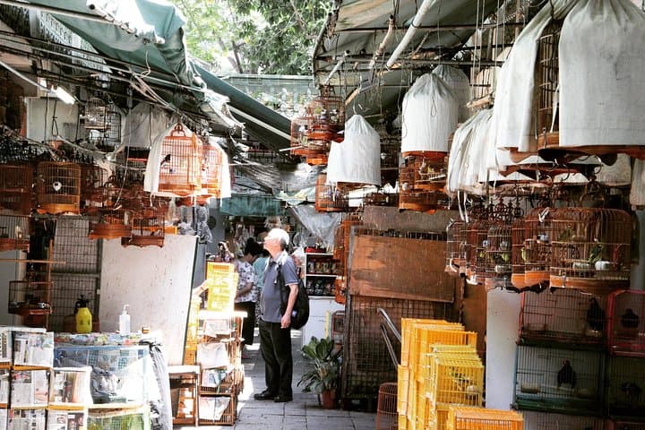 Private Walking Tour: Hong Kong Local Markets Hopper