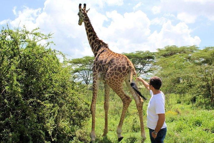 5 Days Hell's Gate, L. Naivasha, L. Nakuru & Masai Mara Luxury Safari