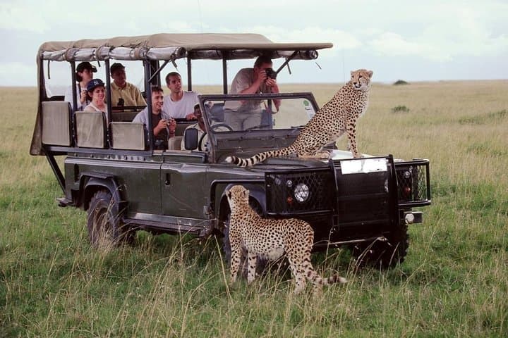 21 Days Best of Kenya & Tanzania Safari, Mount Kilimanjaro Hike & Diani Beach