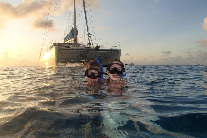 Afternoon Luxury Catamaran Sailing and Charter Cruise from Bridgetown