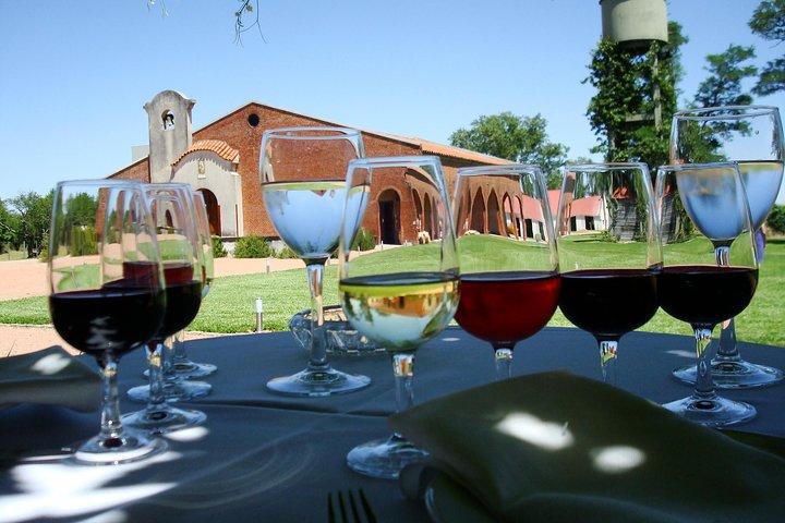 Bouza Winery only Lunch (Esp, Eng, Port)