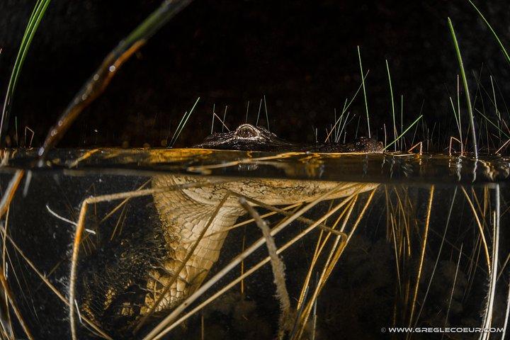 Florida Everglades Night Airboat Tour near Fort Lauderdale