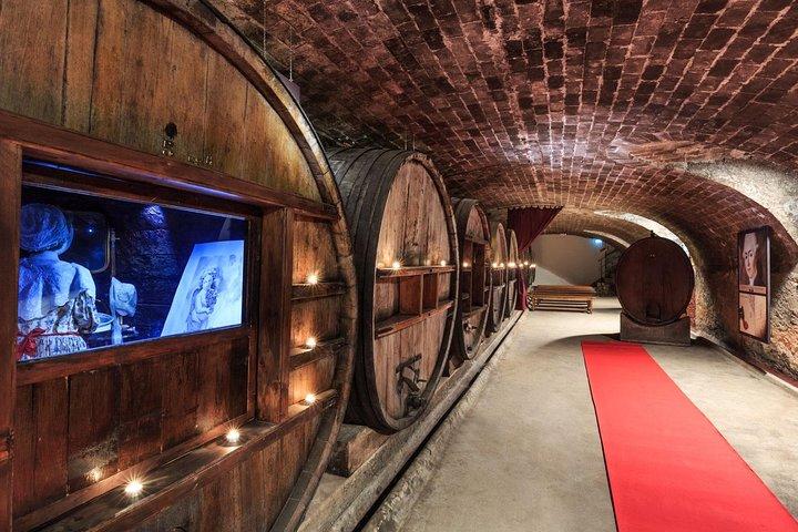 Côtes de Provence Small Group Day Trip with Winery Visits & Tastings from Nice