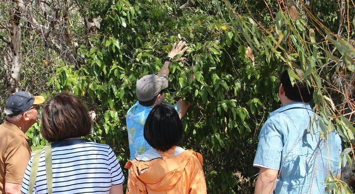 Magnetic Island Tour: Maggie Comprehensive
