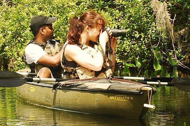 3 Hour Guided Mangrove Tunnel Kayak Eco Tour