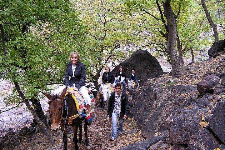 Day trek in Imlil valley with lunch in berber house