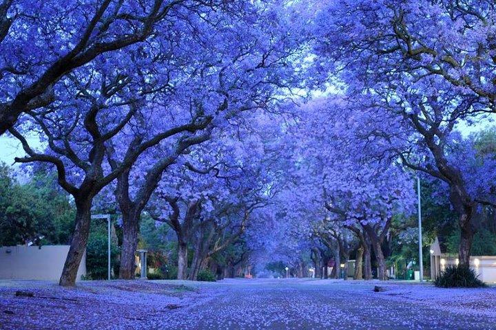Pretoria Capital City Tour from Johannesburg / Sandton, every TUESDAY