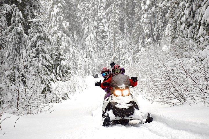 2 Hour Wilderness Adventure Snowmobile Tour in Whistler