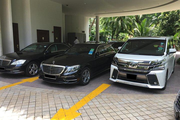 Private Singapore Departure Transfer: City to Airport or Cruise Terminal