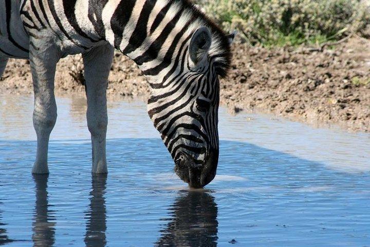 10-Day Namibia Highlights Guided Tour from Windhoek
