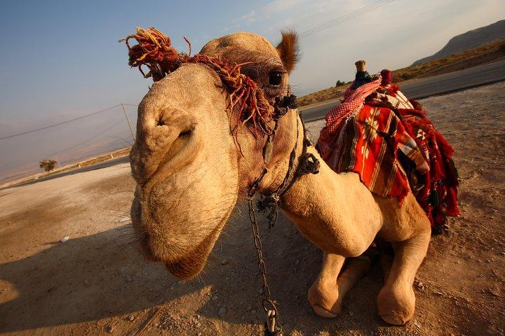 Private 2-Day Desert Tour from Marrakech