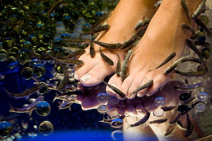 1-Hour Aromatherapy Massage plus 20-Minute Free Fish Pedi