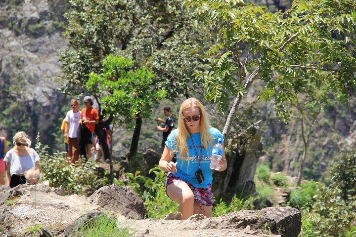4-Day Inca Jungle Trail to Machu Picchu Hiking and Biking Tour