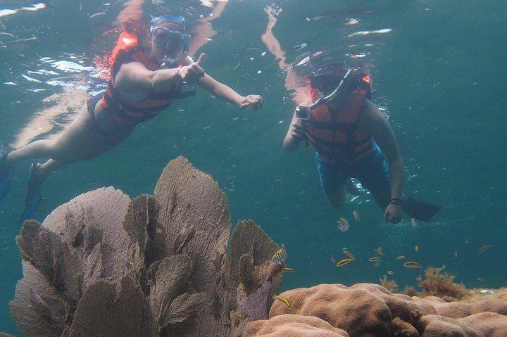 Puerto Morelos Two Reefs Snorkeling Tour