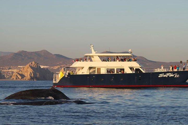 Sunset Dinner Cruise in Los Cabos