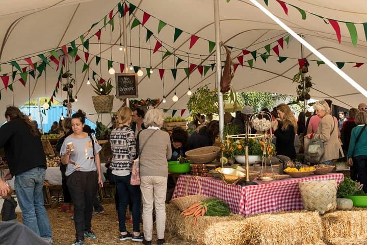 Cape Town Food Markets with Greenmarket Square Experience