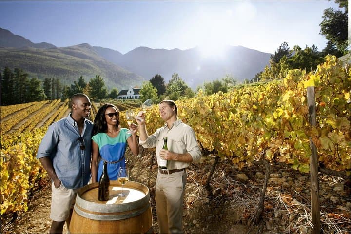 Cape Town Super Saver: Cape Point Tour plus Wine Tasting in Stellenbosch