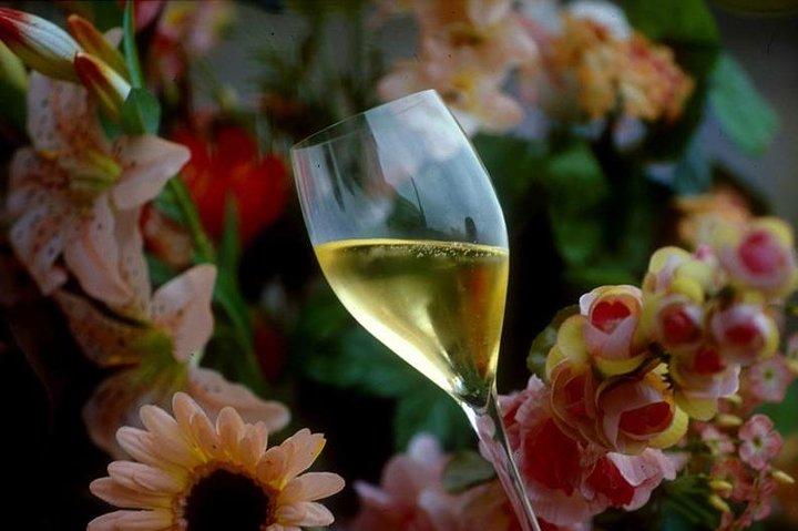 Private Full-Day Tour of Champagne Region