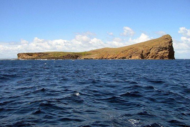 Full-Day Northern Catamaran Cruise: Coin de Mire and Ile Plate Island