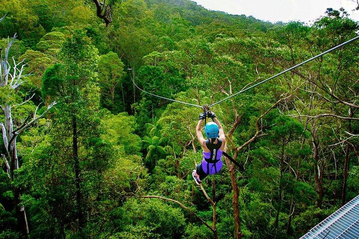 Gold Coast Canyon Flyer Zipline Tour