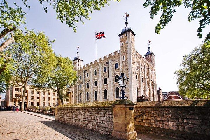London Sightseeing Tour: Guard Change with Tower of London Option