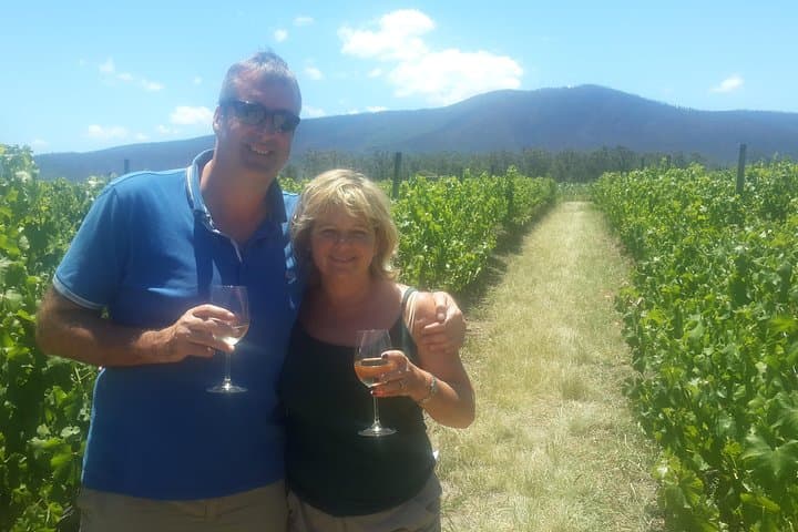 Whales & Wine